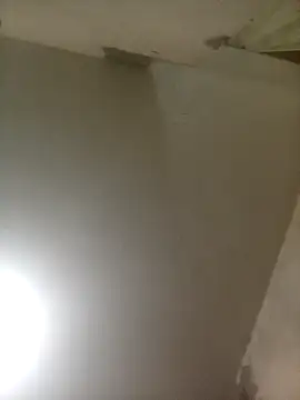 Bebicho14 online show from April 3, 1:58 am