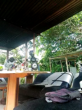 AlphaAlterX online show from December 18, 2:34 pm