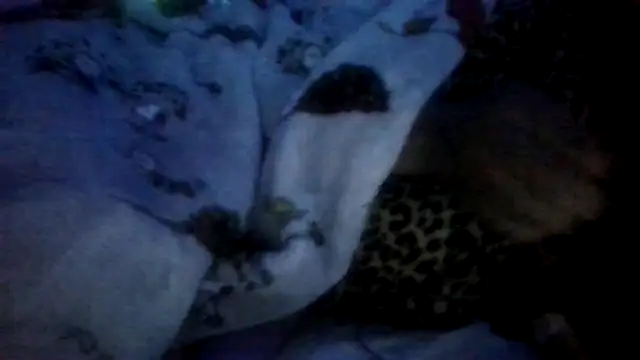 prettymaa online show from April 28, 3:22 am