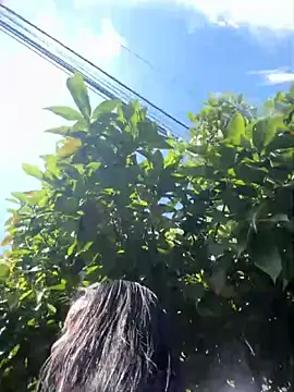 Sophie Dreamss online show from October 3, 7:33 pm