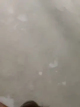 Snapshot of Doggy8668 chatting on March 3, 7:42 pm Doggy8668 online show from March 3, 7:42 pm