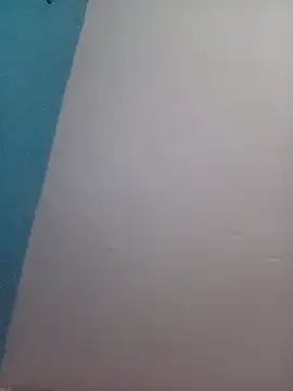 Snapshot of Alina-khan chatting on October 25, 4:35 pm Alina-khan online show from October 25, 4:35 pm