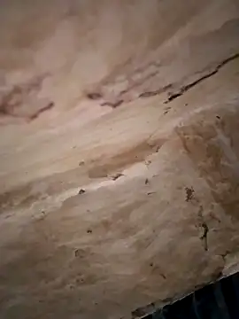 Snapshot of Sexy_hot66 chatting on September 16, 12:55 am Sexy hot66 online show from September 16, 12:55 am