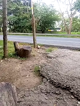 charlotte dante212 online show from November 23, 9:25 pm