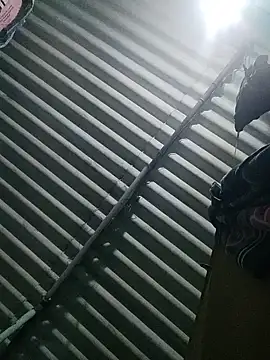 Tamilgud23 online show from November 16, 4:23 pm