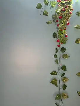 V-Hot-Sweti online show from March 30, 5:25 pm