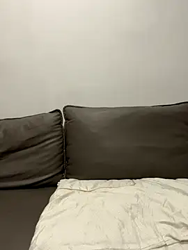 Snapshot of ruyi-13 chatting on September 10, 8:14 am ruyi-13 online show from September 10, 8:14 am