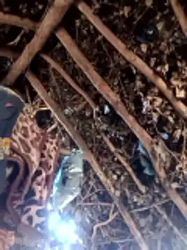 Hot rachnasexy online show from March 9, 5:55 am