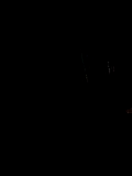 H seema online show from February 3, 2:53 am