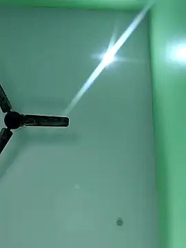 Snapshot of WildPayal chatting on November 14, 7:51 am WildPayal online show from November 14, 7:51 am