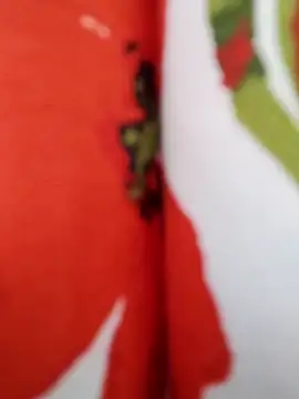  tetas 92 online show from April 20, 3:59 pm