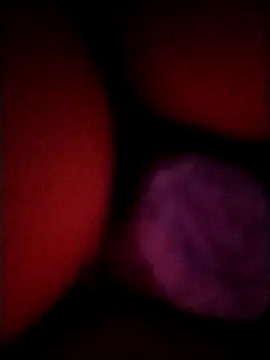  tetas 92 online show from April 21, 1:53 am