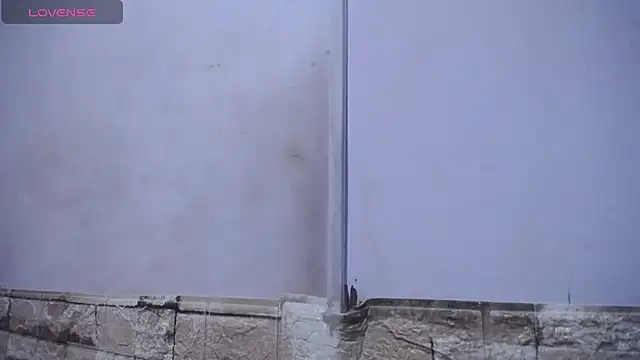 Bicky 24 online show from February 25, 9:19 am