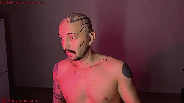 AndyLonesome online show from September 12, 8:42 pm