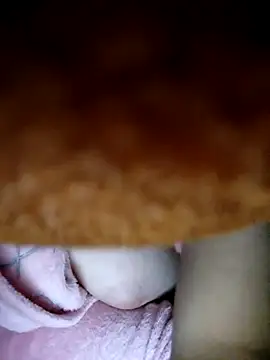 CHahed-5 online show from January 7, 1:08 am