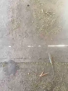 Chico031289 online show from October 28, 7:16 pm