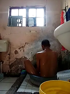 average price online show from November 28, 4:37 am