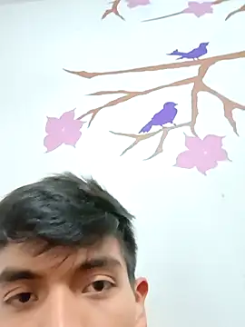 DavidVergagigante420 online show from November 17, 3:01 am