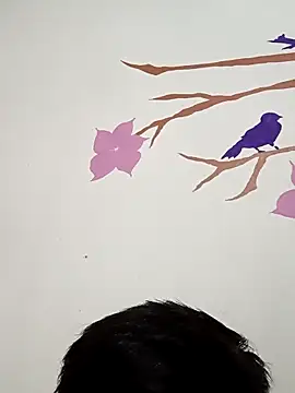 DavidVergagigante420 online show from November 22, 5:50 am