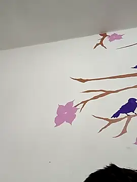 DavidVergagigante420 online show from February 5, 5:12 am