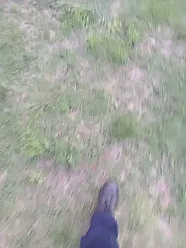 Snapshot of Pondo10 chatting on November 13, 3:55 pm Pondo10 online show from November 13, 3:55 pm