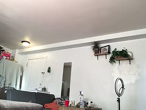 littyleesh1 online show from January 13, 4:01 pm