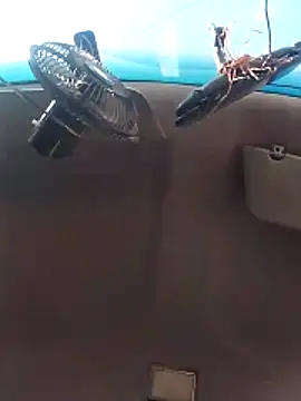 Ghkjccvk online show from February 20, 3:34 pm