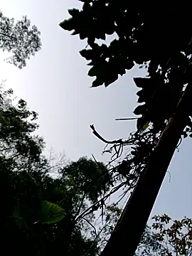 kemtuoi-sex online show from January 11, 11:54 pm