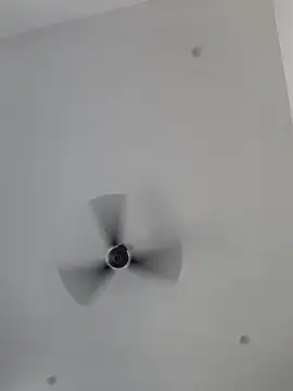 Chanderi19 online show from September 26, 4:38 am