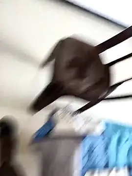 Chanderi19 online show from September 30, 9:25 am