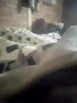 Snapshot of Freelly chatting on November 19, 11:38 pm Freelly online show from November 19, 11:38 pm