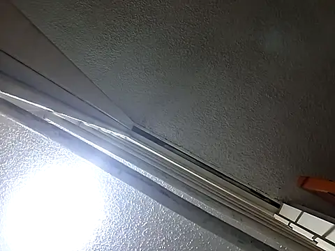 Aliciabloom online show from November 6, 1:01 pm