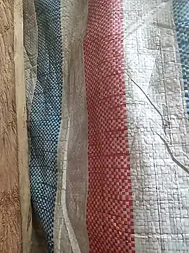 bonnie-00 online show from January 13, 2:28 am