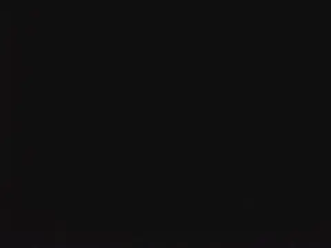 SienaWild online show from January 13, 10:04 pm