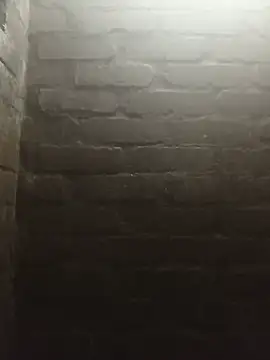 Snapshot of Bestlemas chatting on July 27, 6:37 pm Bestlemas online show from July 27, 6:37 pm