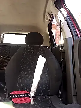 Snapshot of IssuedEcho chatting on February 28, 11:44 am IssuedEcho online show from February 28, 11:44 am