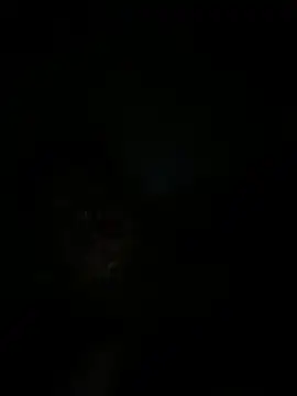 Snapshot of RangingWarranty chatting on October 20, 7:20 am RangingWarranty online show from October 20, 7:20 am