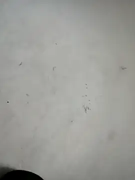 ndon63421 online show from October 3, 2:58 pm