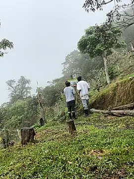 Snapshot of sky-wolves chatting on October 11, 3:43 pm sky-wolves online show from October 11, 3:43 pm