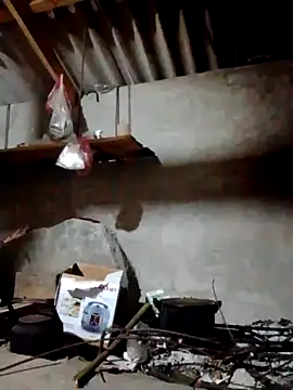 donna-bae online show from April 12, 10:15 pm