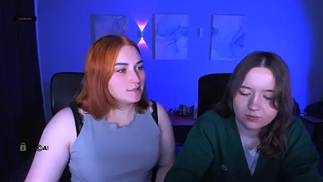 casey meow  online show from February 6, 9:56 am