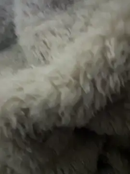 Snapshot of futsam653 chatting on November 12, 9:21 am futsam653 online show from November 12, 9:21 am