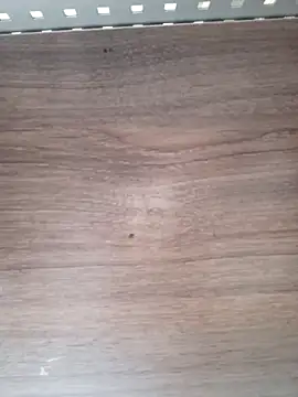 ValeriaLove43211 online show from April 6, 7:53 am