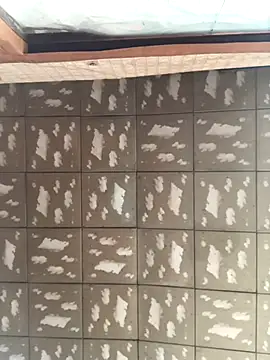 pualldu online show from November 23, 3:06 am