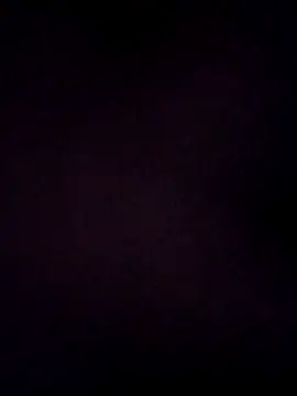 sanaya 3 online show from December 5, 5:20 pm