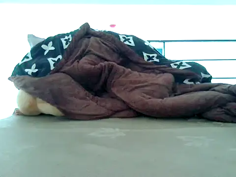 loveninja online show from November 8, 6:13 am