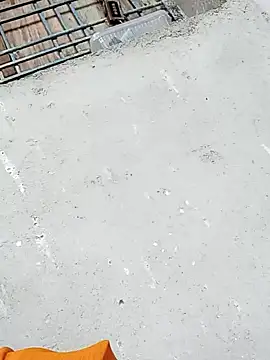 Rupali ji online show from December 17, 10:21 am