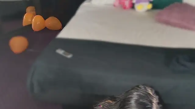 MeganSin  online show from November 6, 5:30 am