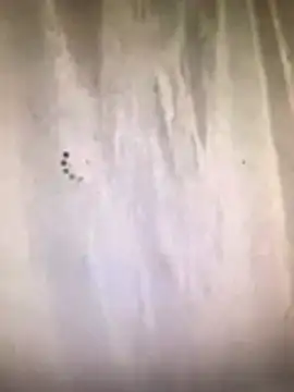 Snapshot of amasha200 chatting on March 9, 12:03 am amasha200 online show from March 9, 12:03 am