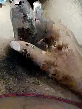 nagepalli online show from November 1, 2:13 am